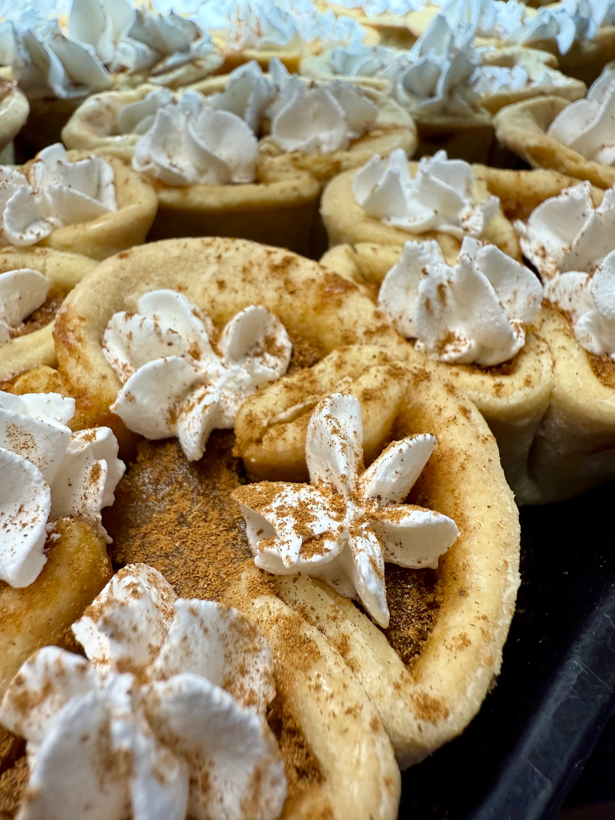 Pumpkin Tarts (Pack of 6)